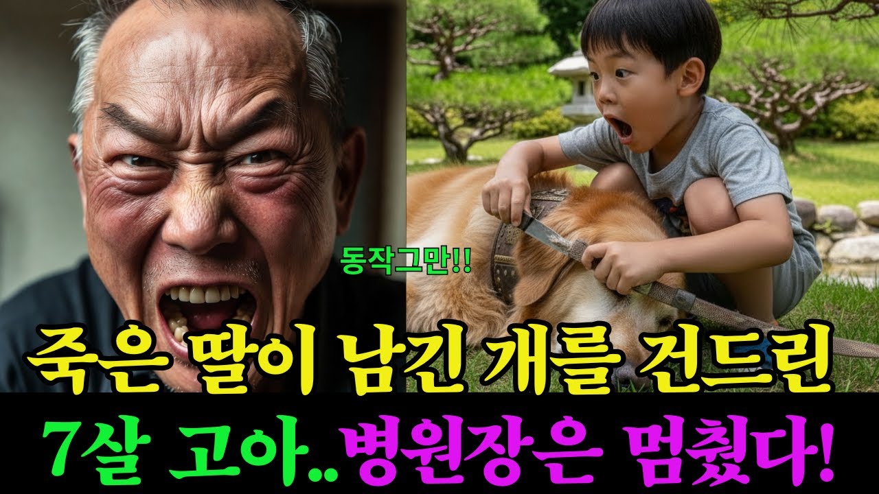 “아무도 못 건드리던 그 개, 병원장이 무릎을 꿇은 이유”
