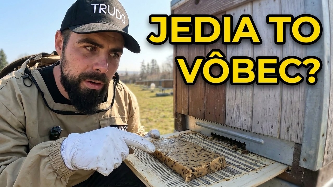 Podnecovanie včiel inak: berú cesto z dna úľa? 🐝🍯