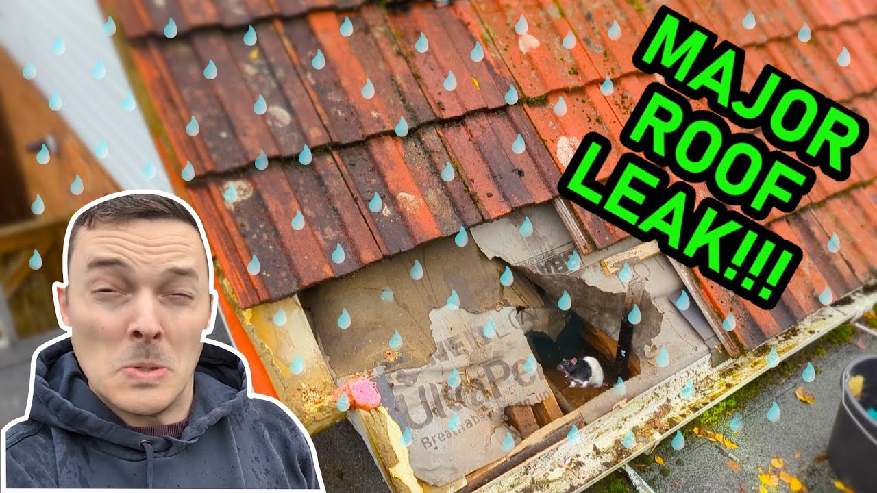 Major Roof Leak Repair!! DIY Roofing In Heavy Rain A Good Idea?!