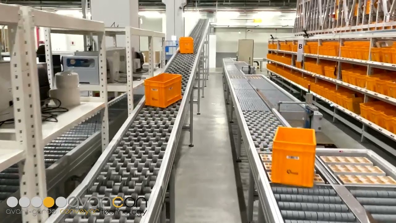 Avancon Roller Conveyor