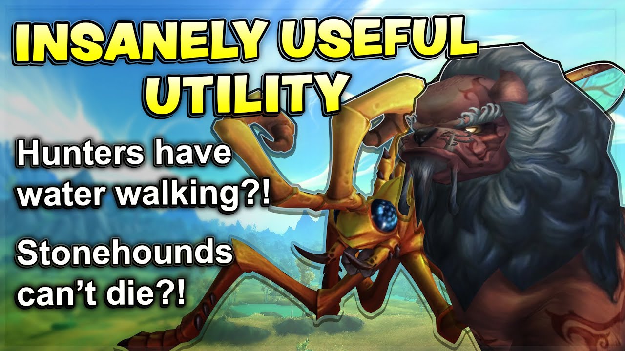 7 Awesome BM Hunter Pet Abilities: We Can Water Walk?