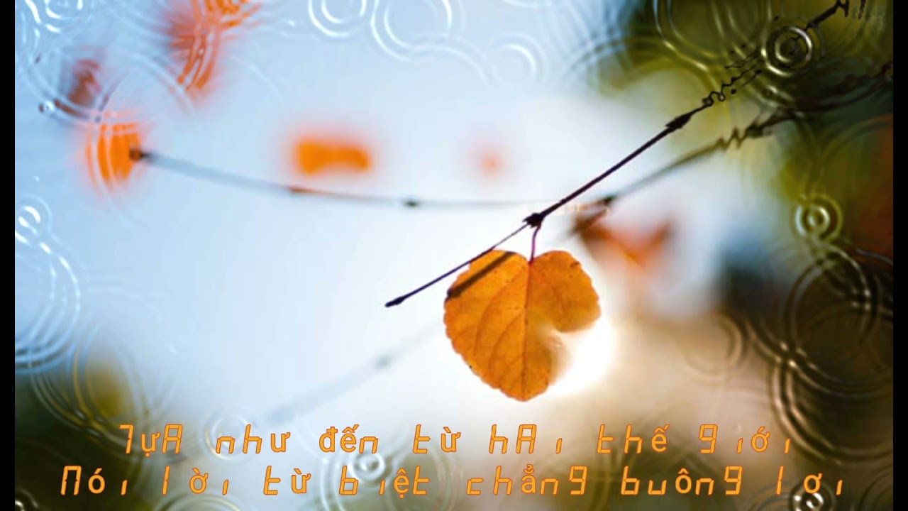 Phiến Lá Tĩnh Lặng - Thùy Chi | Lyric Video