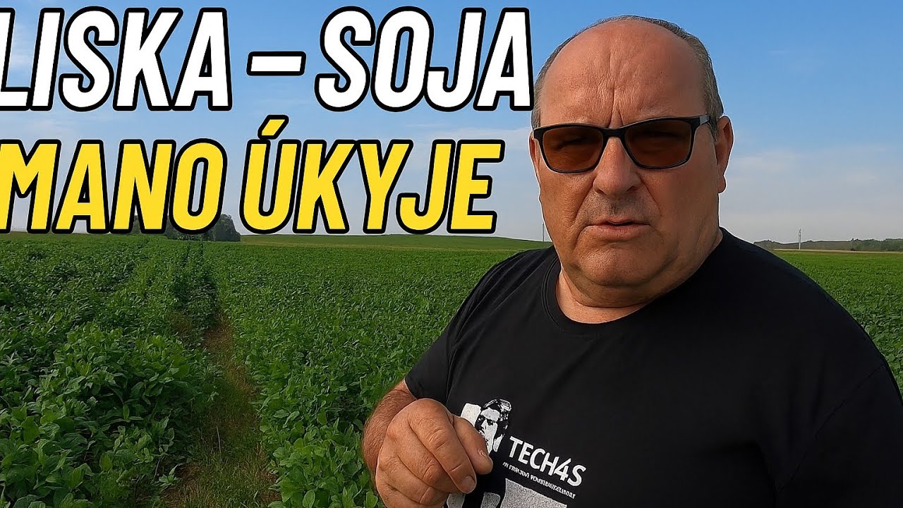 Ar žinojai kaip auga sojos Lietuvoje?