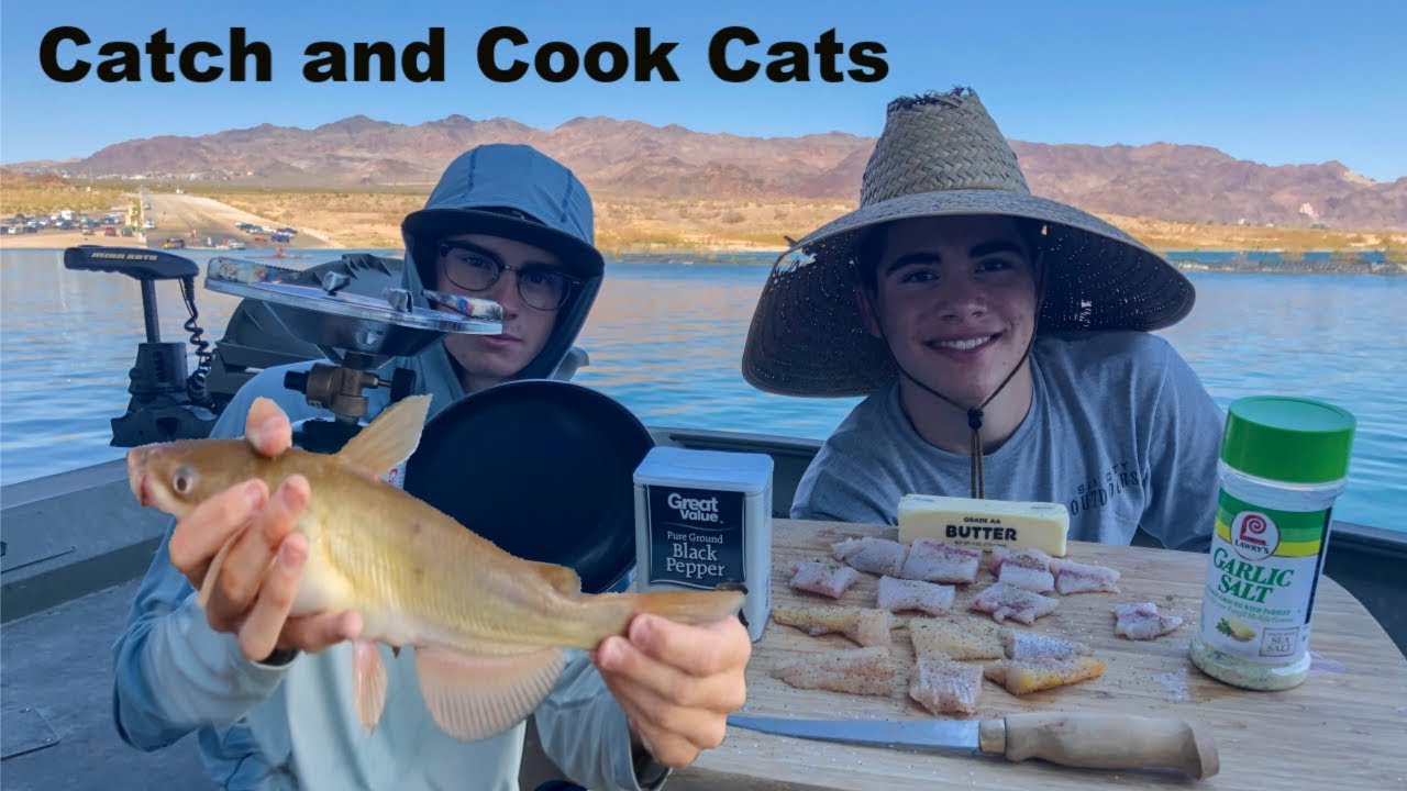 CATCH AND COOK Catfish vs. Striper TASTE TEST