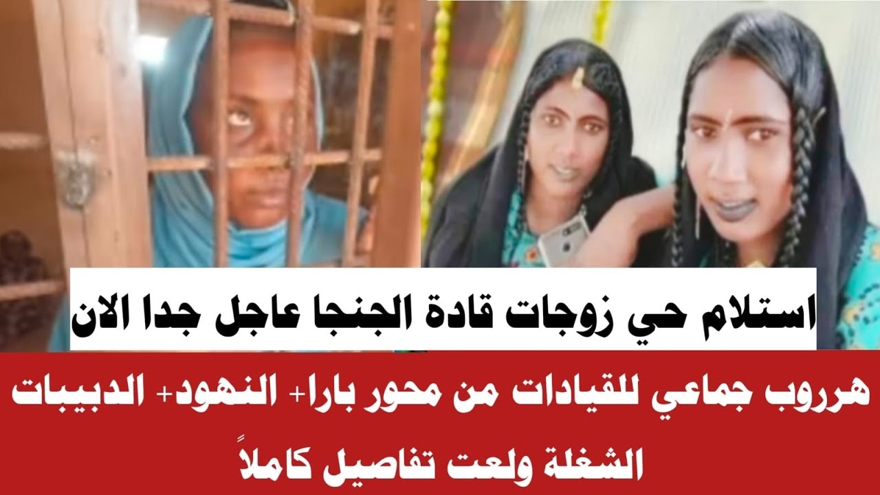 #الان استتلام حي زوجات قادة الجنجا وعريد جماعي الشغلة ولعت تفاصيل كاملا