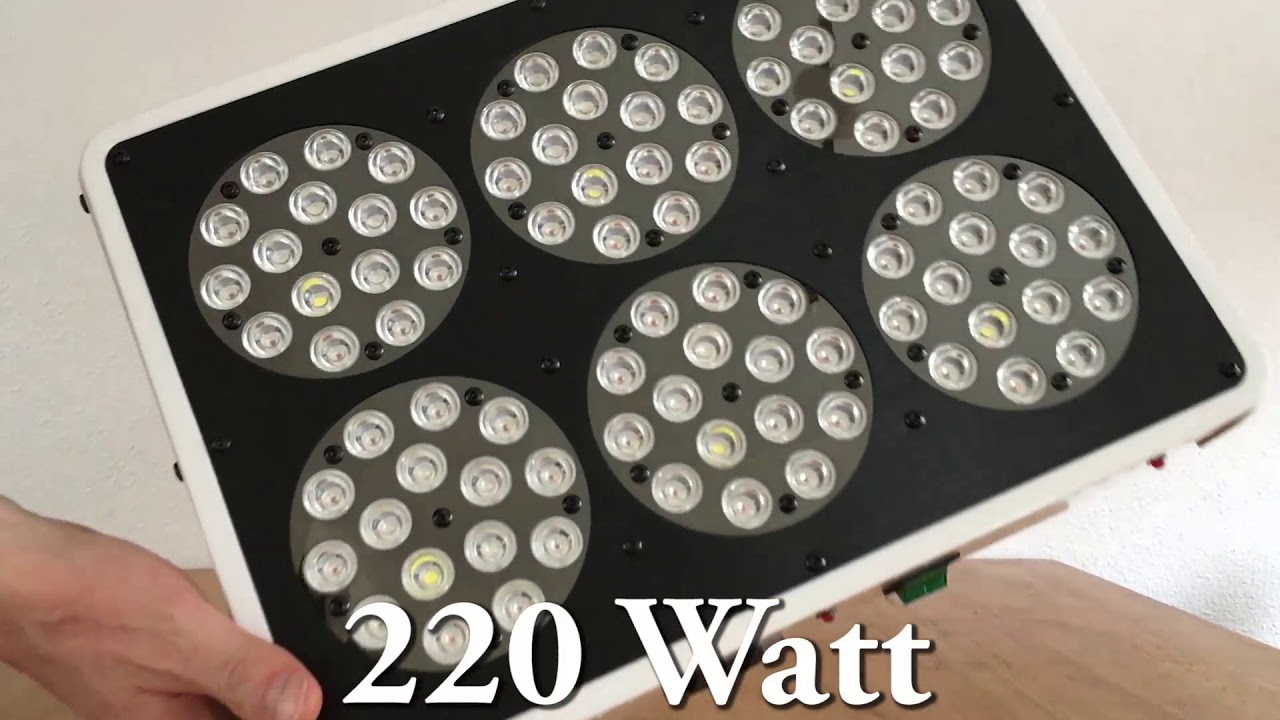 Kind L300 Kweeklamp