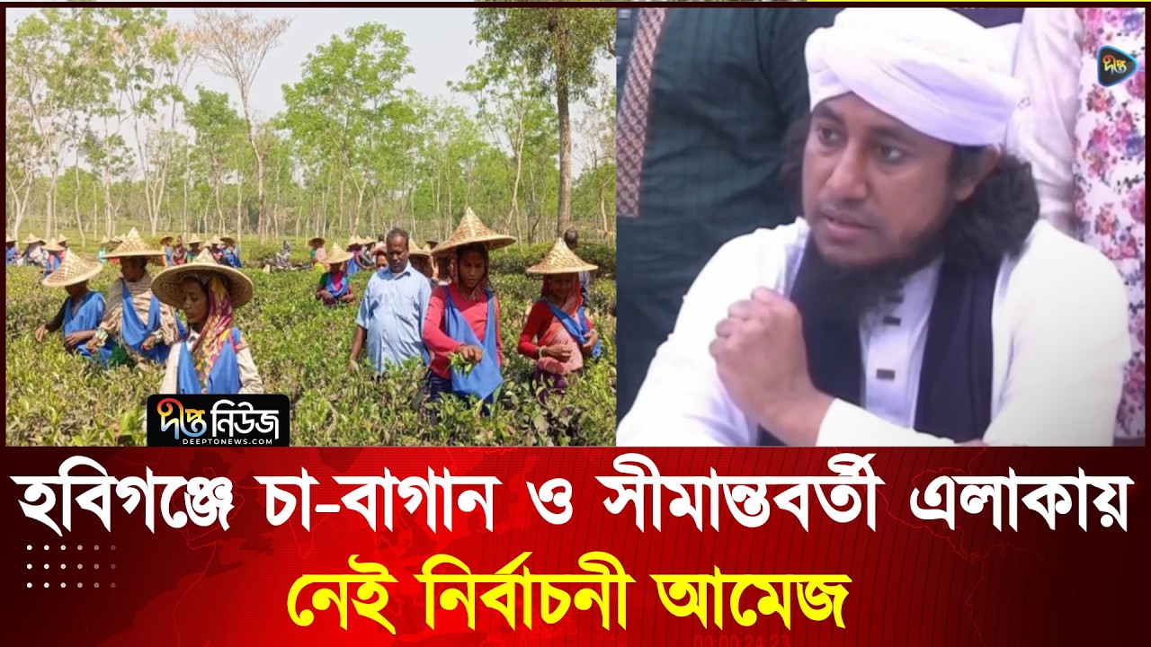 হবিগঞ্জে চা-বাগান ও সীমান্তবর্তী এলাকায় নেই নির্বাচনী আমেজ l Election 2026 l Deepto News