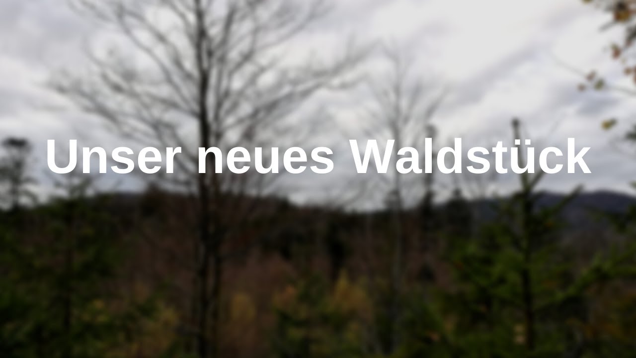 Unser neues Waldst&uuml;ck - neue Projekte Bushcraft Bayerischer Wald Camp /MyWoid