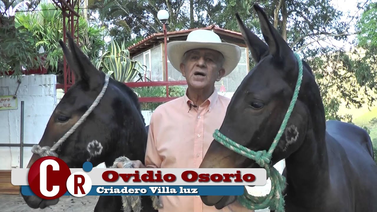 Consultorio Rural Criadero Villa Luz