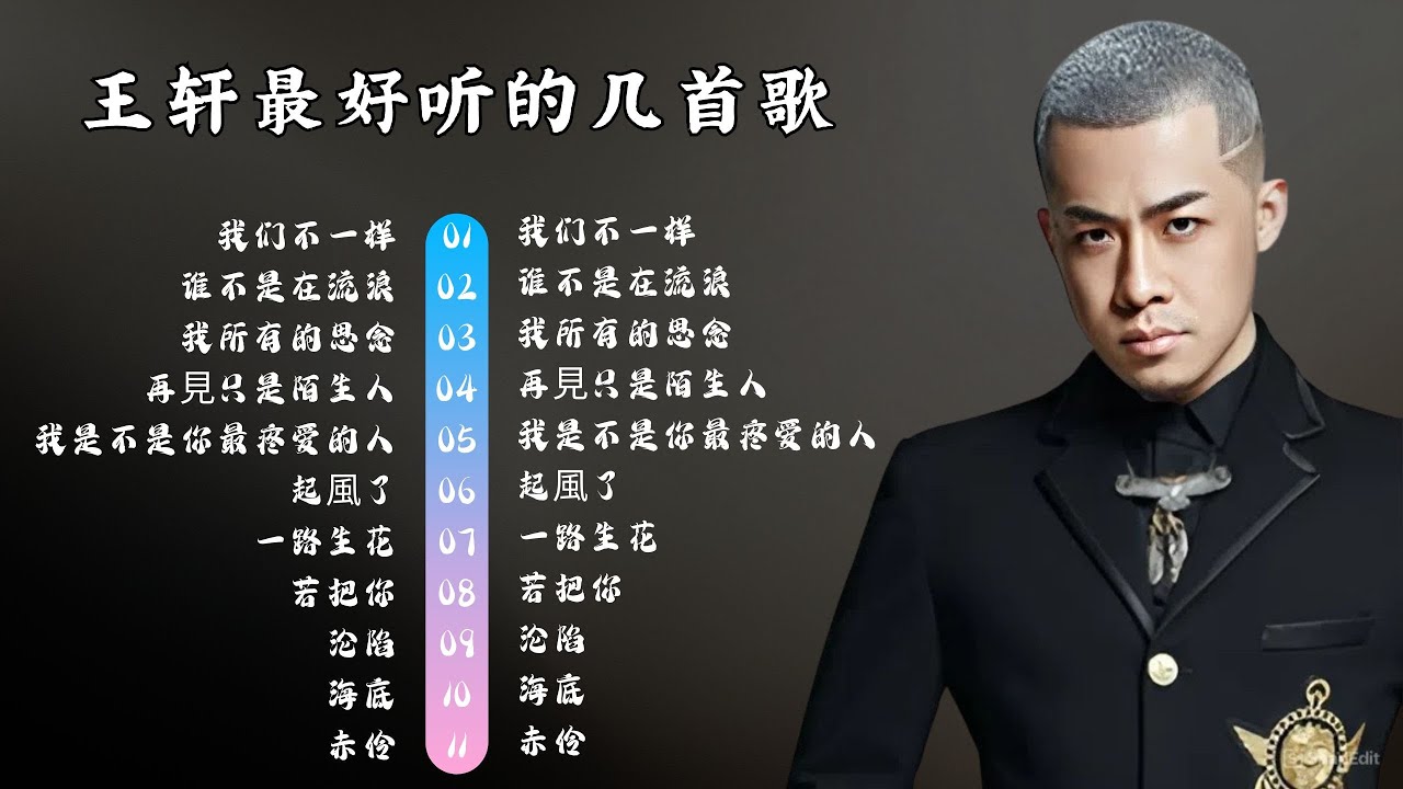 大壮 Dazhuang🎀🎀【動態歌詞Lyrics】大壮 10首最火的歌: 《谁不是在流浪》《我所有的思念》《再见只是陌生人》