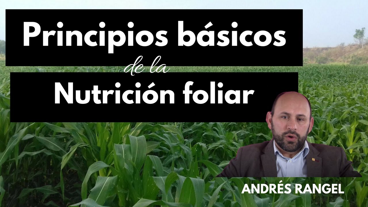 Principios Básicos de la nutrición Foliar