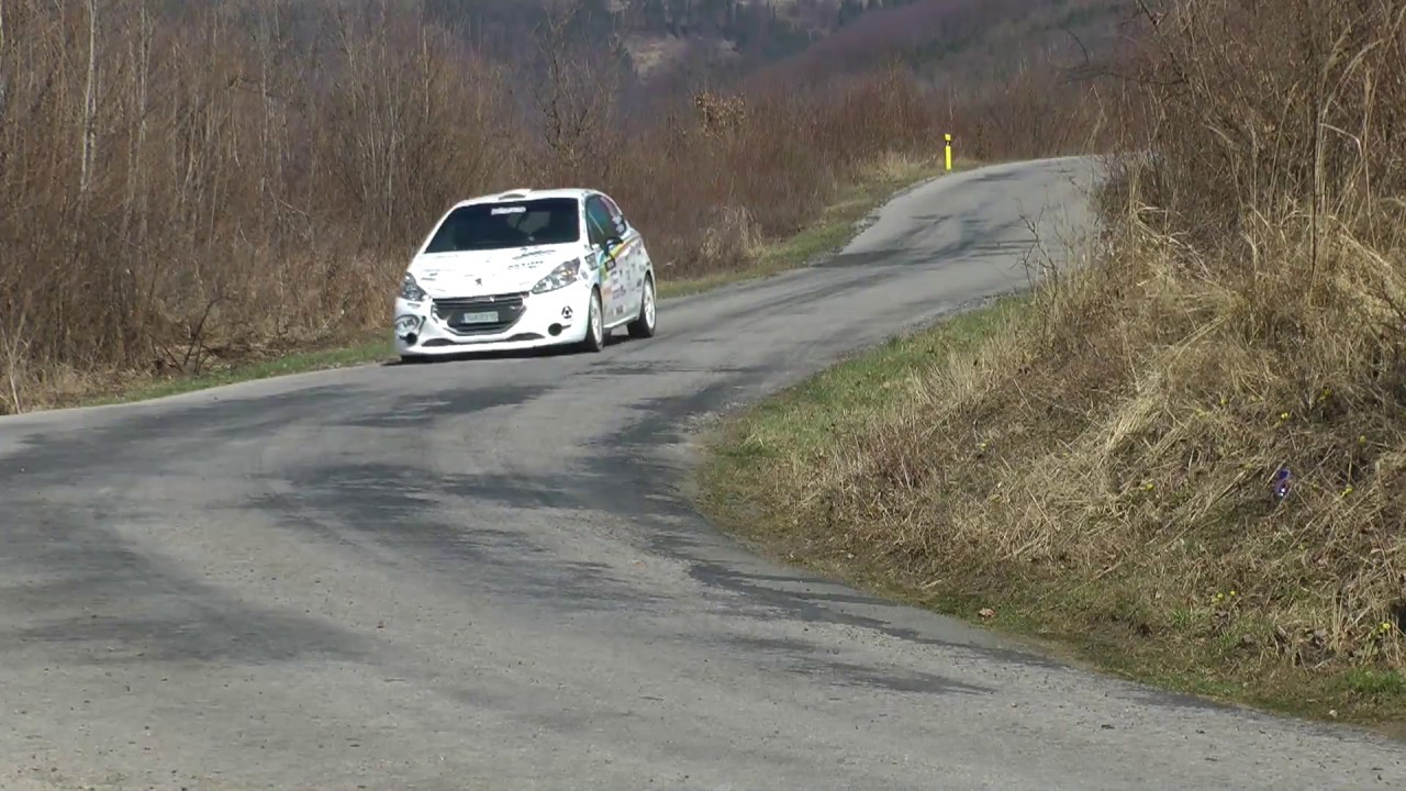 10 LRracing Rally Roznava 2017 - Majercak / Frisch - Peugeot 208 R2 \ MaxxSport |