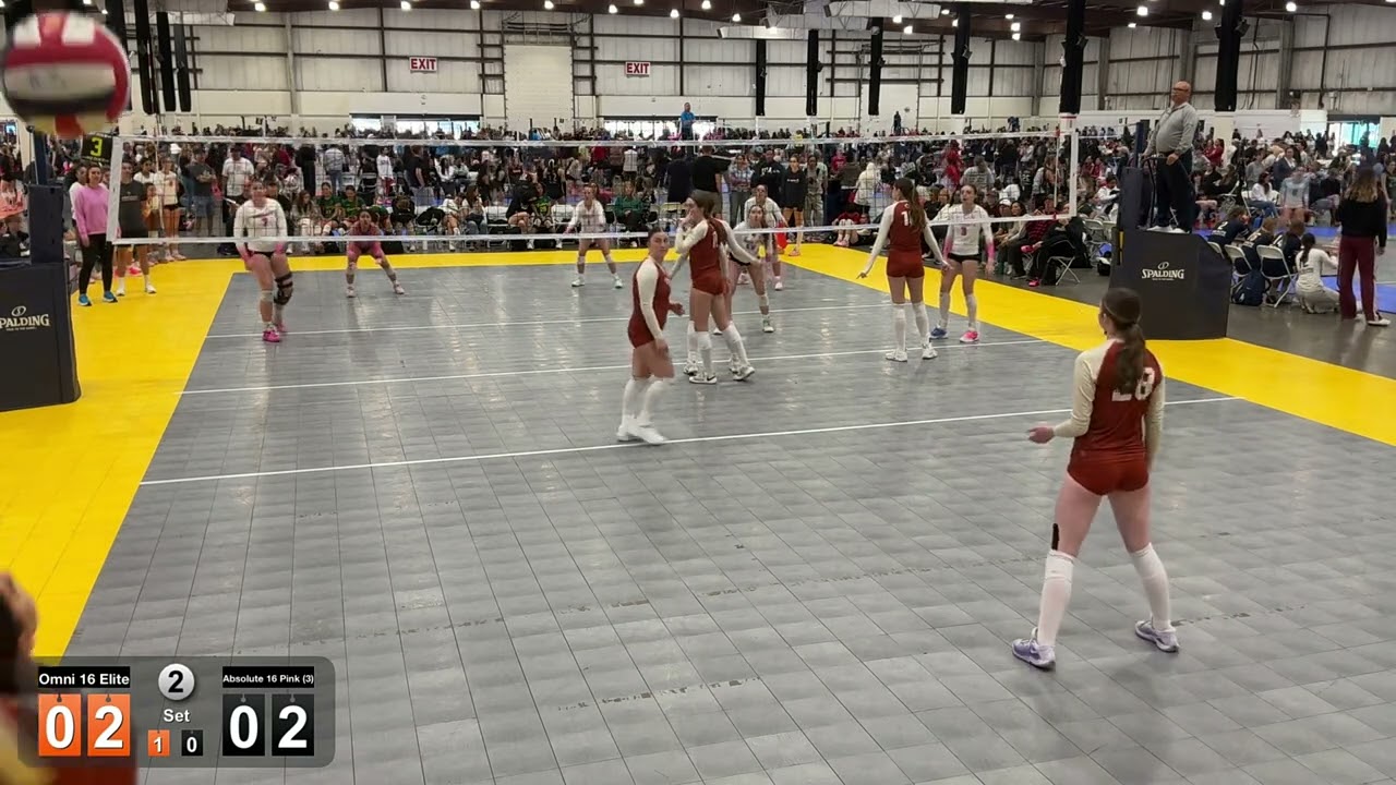 Omni 16 Elite vs Absolute 16 Pink 3 3-8-2026 balltime