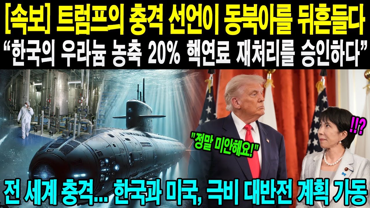 군사 분석! 11월 01일 11:00