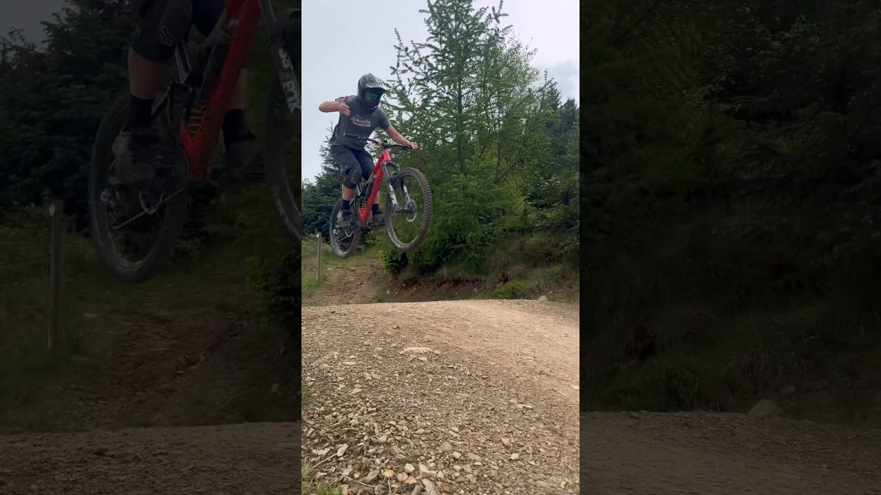 He likes the jumps a bit too much 😂 #memes #funny