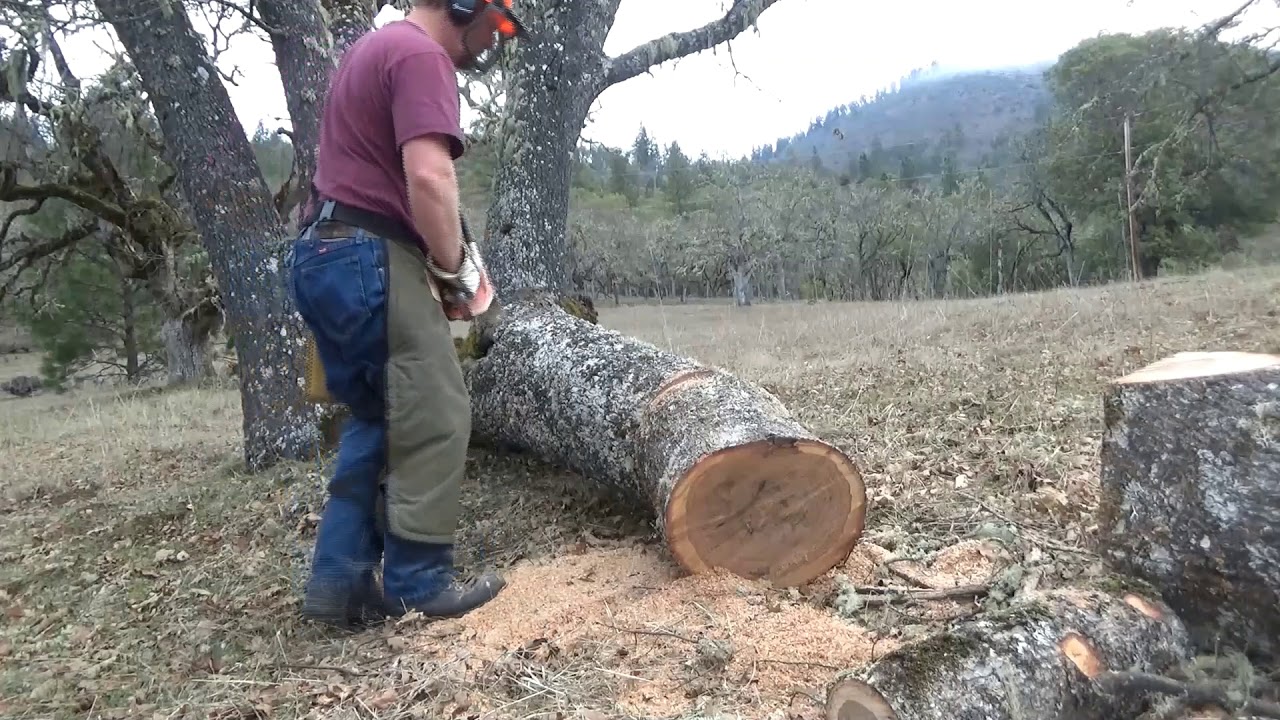My Homelite 410 Chainsaw Gets A Workout