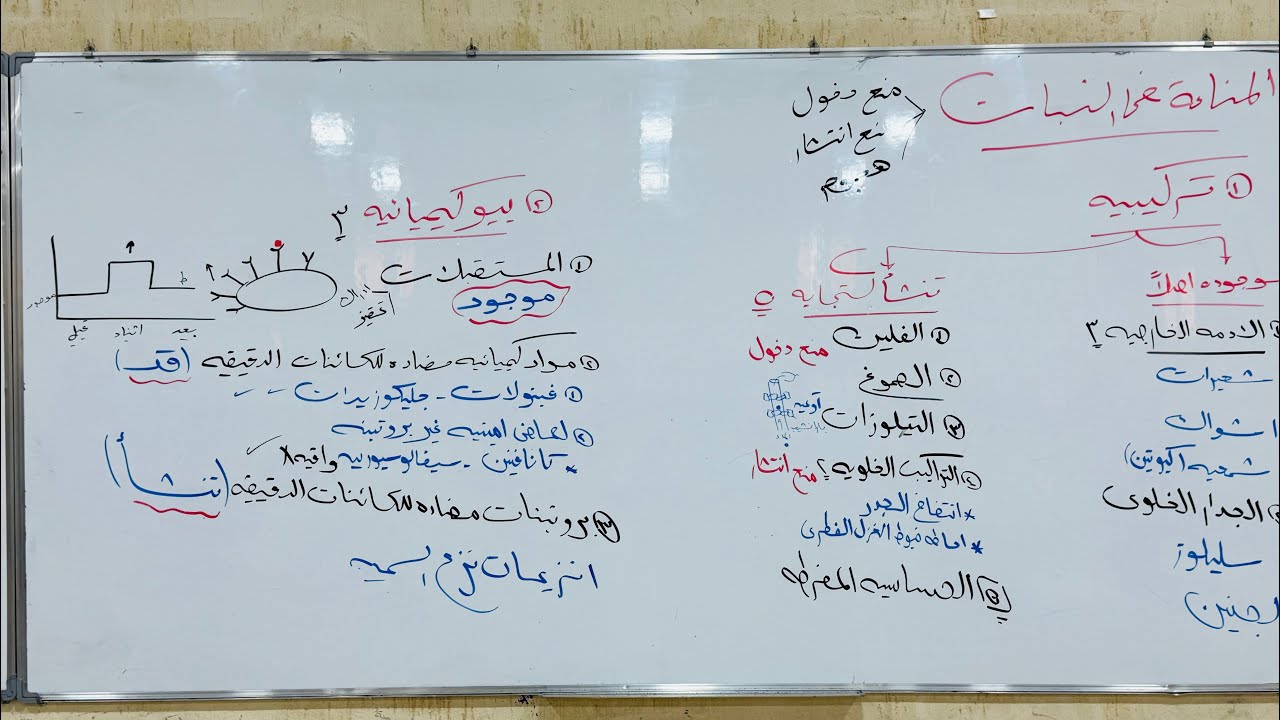 مراجعة المناعة تالته ثانوي ٢٠٢٦ 