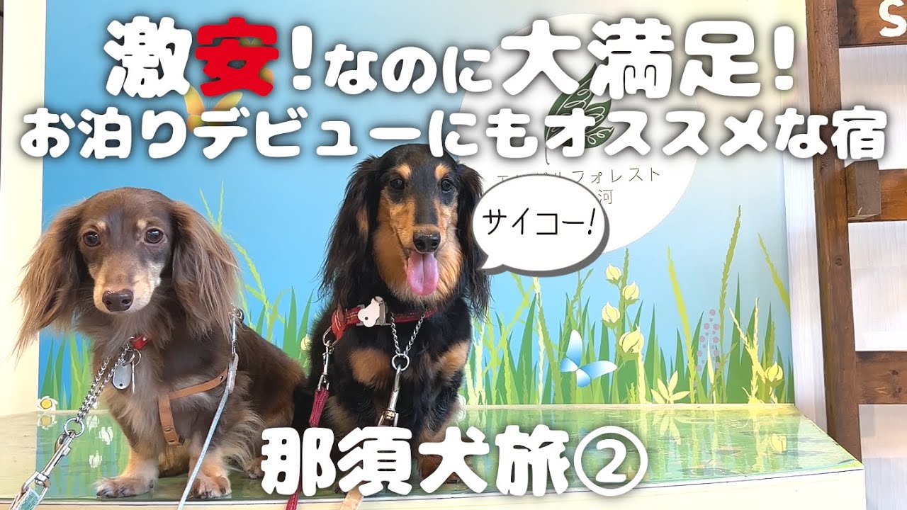 【犬連れ旅行福島宿】激安なのに極楽なペットと泊まれる宿「エンゼルフォレスト白河高原(旧那須白河)」さんに泊まる 1泊2日わんこ旅2/3 2022.6