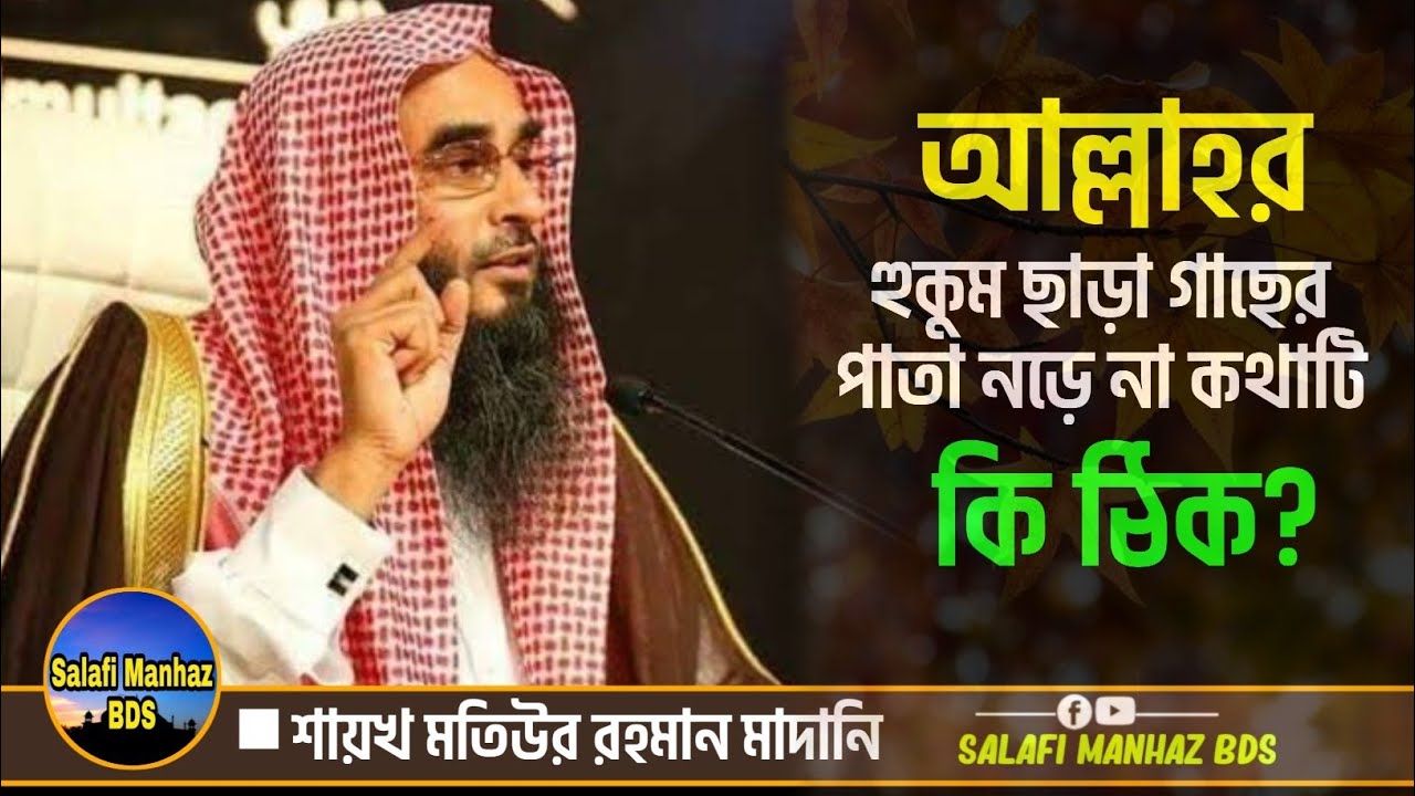 আল্লাহর হুকুম ছাড়া গাছের পাতা নড়ে না কথাটি কি ঠিক? শায়েখ মতিউর রহমান মাদানি৷ Motiur Rahman Madani.