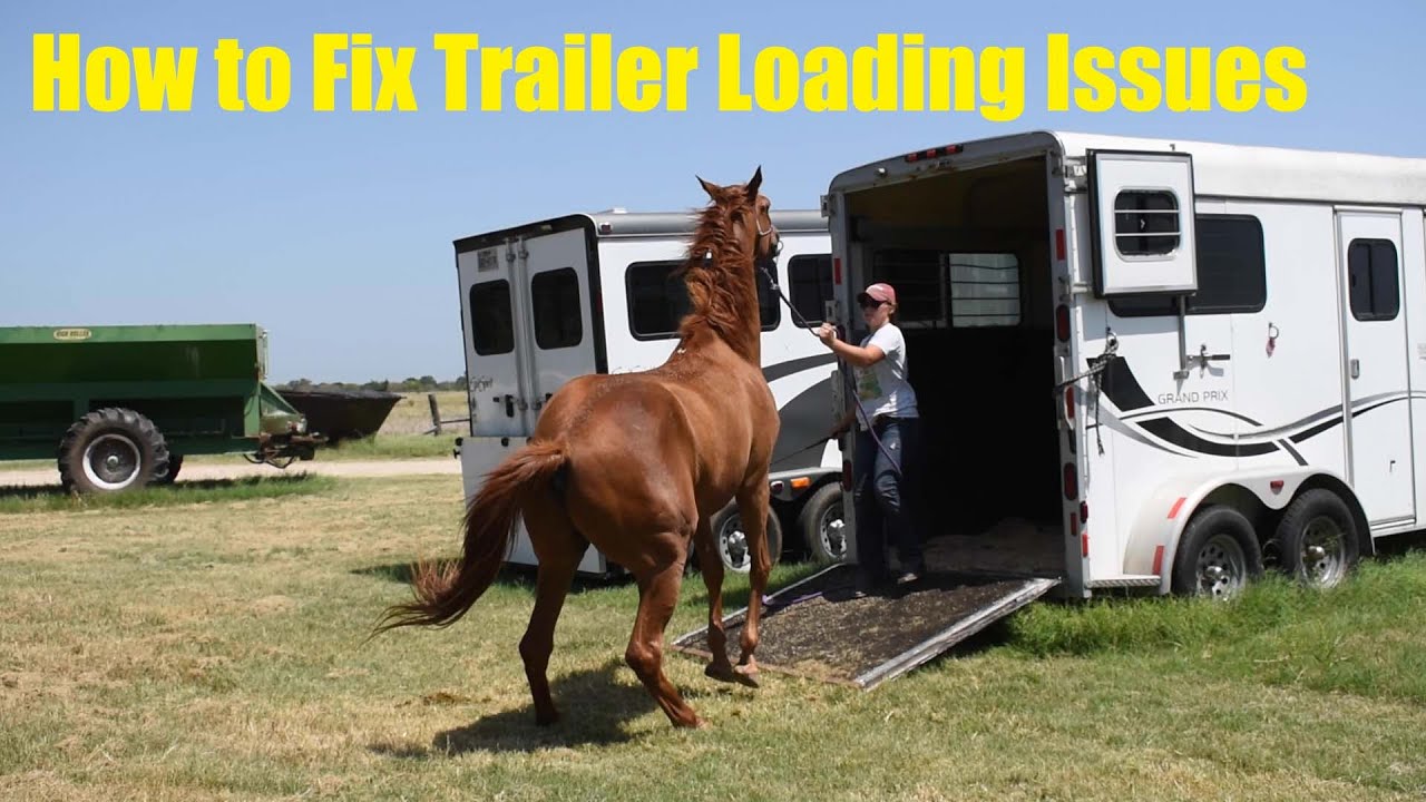 How to Fix Trailer Loading Issues | Bello Case Study