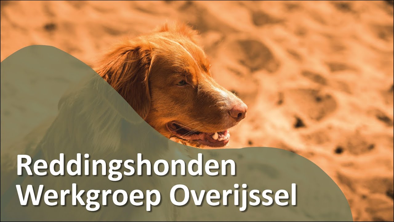 Farm Food Sponsoring - Reddingshonden Werkgroep Overijssel