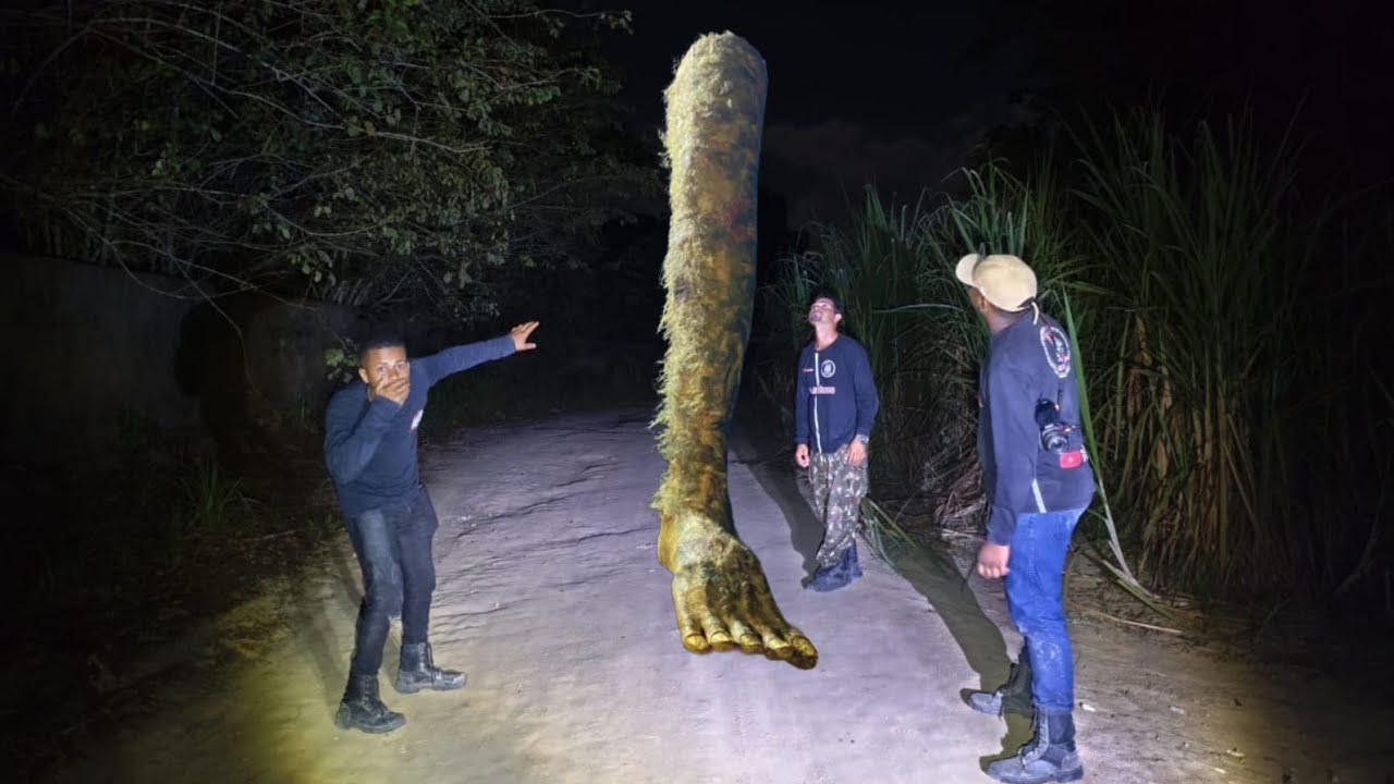 ELES FICARAM SURPRESA QUANDO VIRAM O TAMANHO DA PERNA CABELUDA #pernacabeluda 