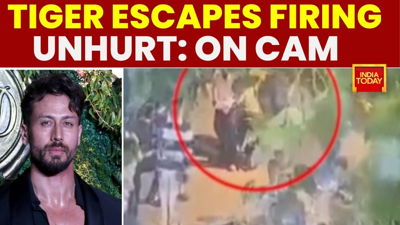 Tiger Shroff Mumbai Firing: Abandoned Two-Wheeler Seized, Police Scan CCTV For Shooters