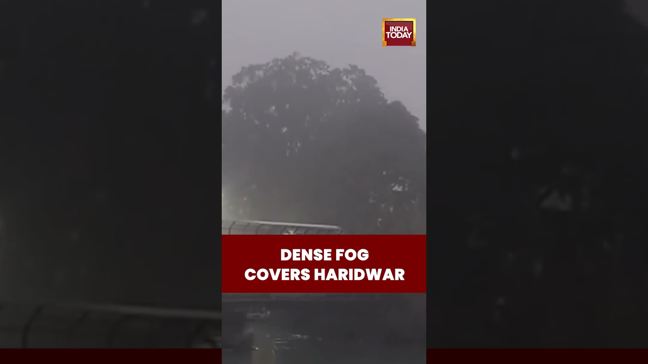 Haridwar Shrouded in Fog Amid Intensifying Cold Wave