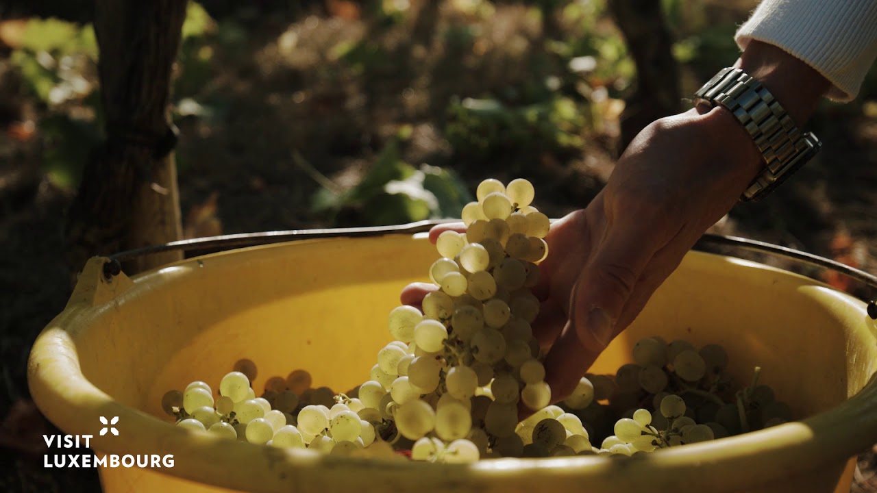 Luxemburg: Mosel-Weinregion by Reisefernsehen.com - Reisevideo / travel video