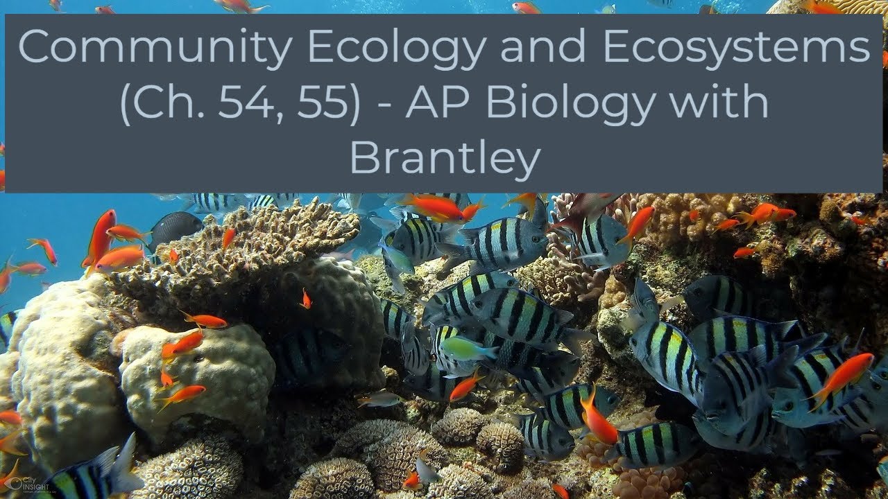 Communities, Ecosystems, and the Importance of Biodiversity (Ch. 41, 42) - AP Biology with Brantley