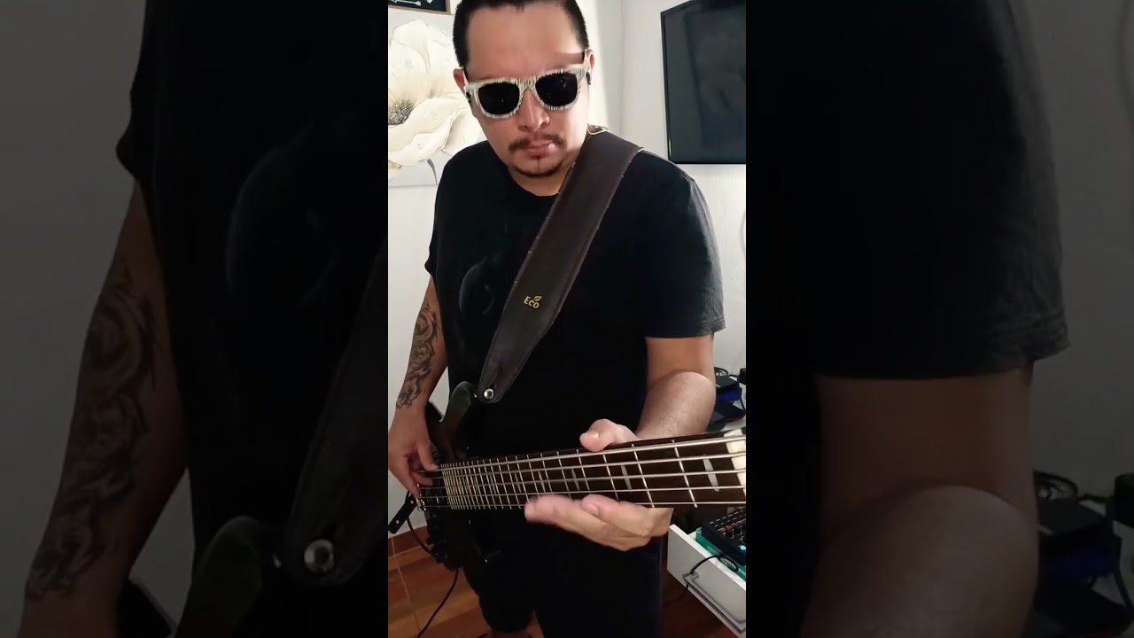 Angra - Carry On ( Bass ) 🎸🔥🔥🔥