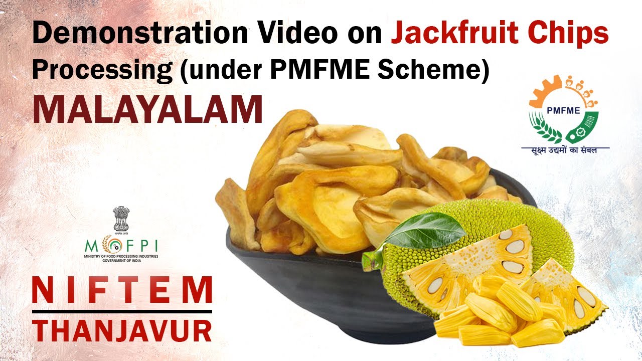 Demonstration Video on Jackfruit Chips Processing (under PMFME Scheme) - MALAYALAM