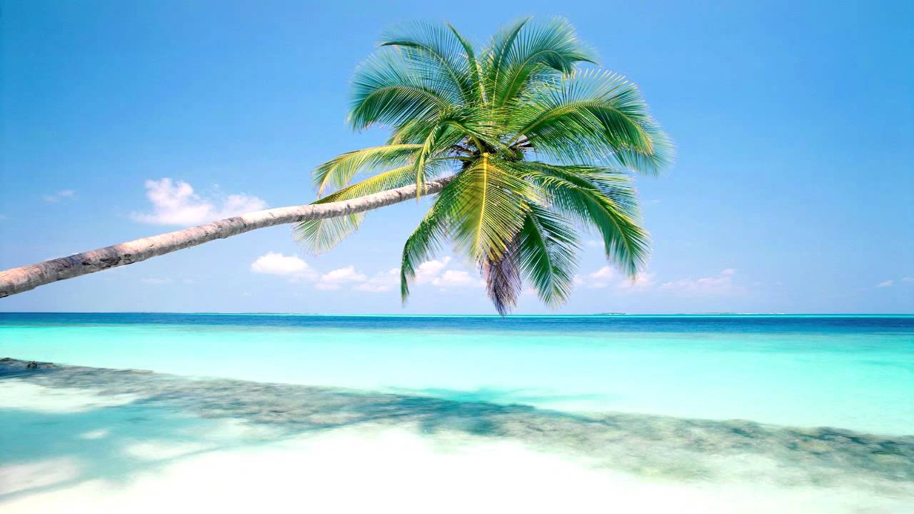 Monogato - Climate Change