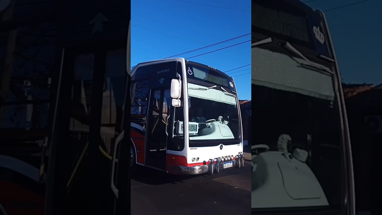 El famoso 💎22💎 del 314 modelo nuovobus citta