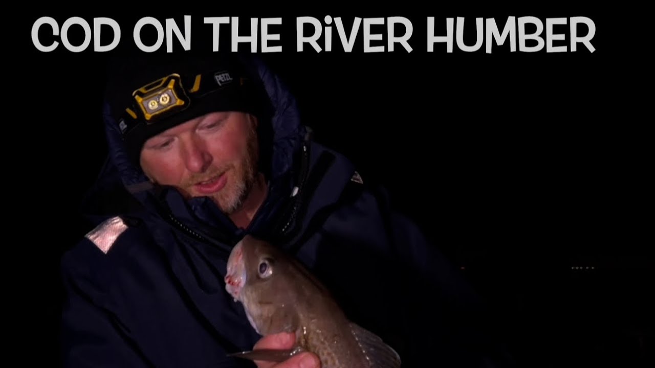 Cod hunting. Holderness coast. River Humber 