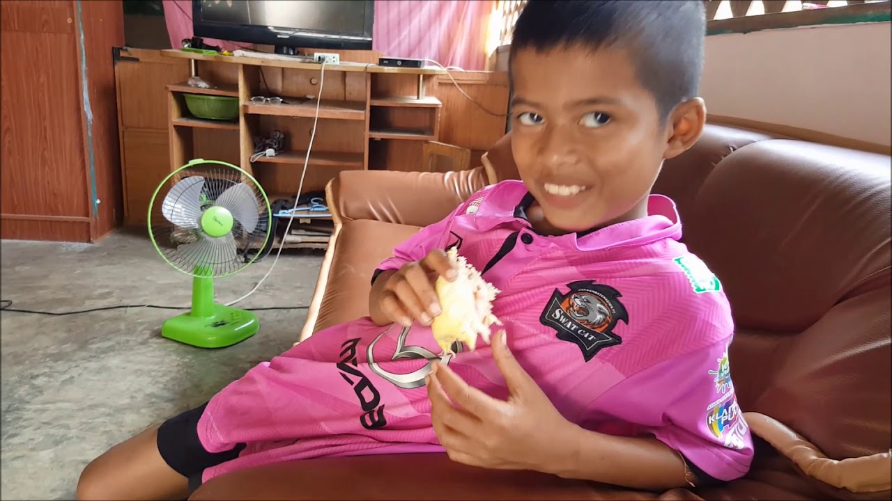 Rural life in Isan, Thailand. Eating Durian.