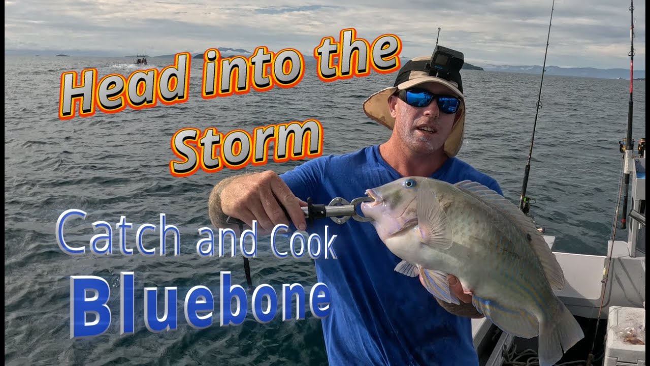 Head into the storm, Blue Bone Catch and Cook