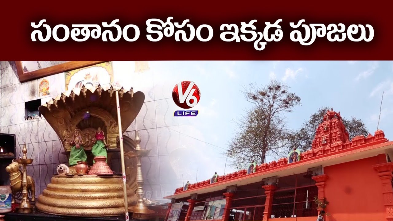 History Of Sri Bugga Ramalingeswara Temple | Maddikunta | Kamareddy | Theertham | V6 Life