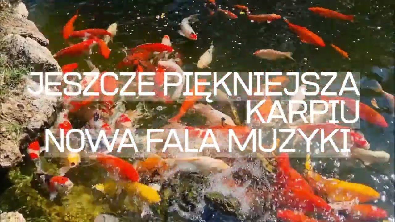 KARPIU - JESZCZE PIĘKNIEJSZA - NOWA FALA MUZYKI