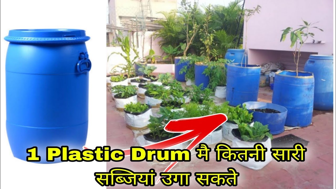 How to grow Vegetables at home in Plastic Drum || Vegetables garden