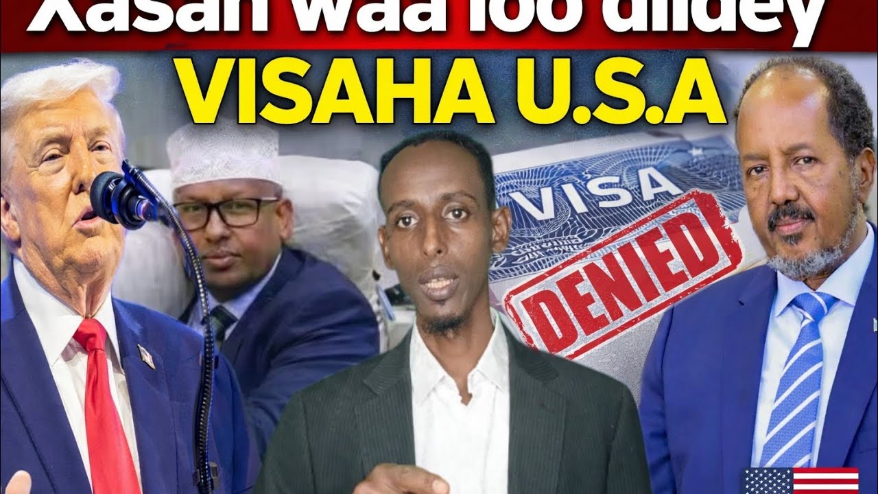 OOHIN: XASAN SHEEKH AYAA  LOO DIIDEY INUU TAGO USA 🇺🇸. OGOW  SABABTA.👀?