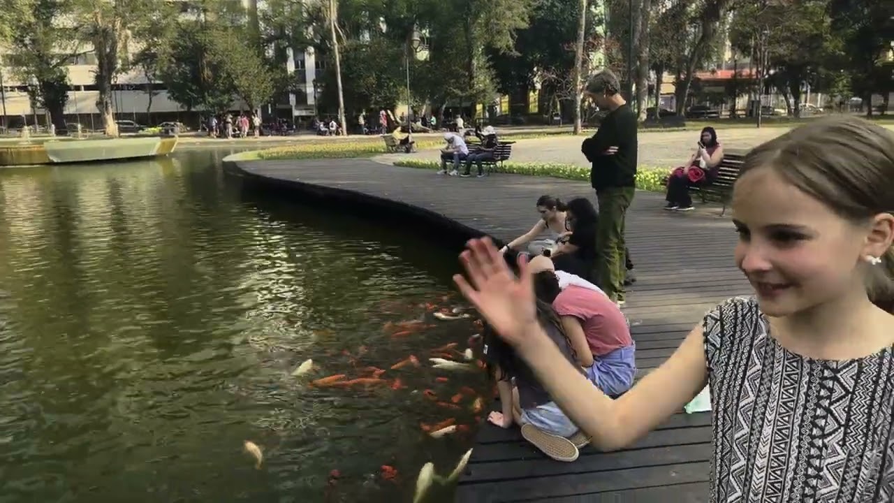 Animais e peixes vendo crian&ccedil;as no parque com flores!