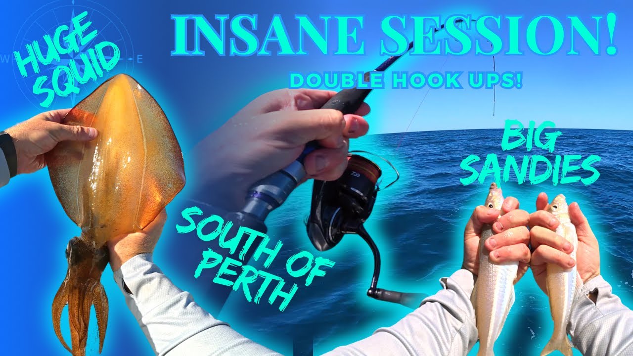 INSANE Double Hook-Ups! | MONSTER Squid and Whiting South of Perth
