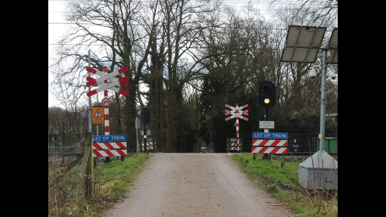 WILO's en Treinen in het Heilooerbos!
