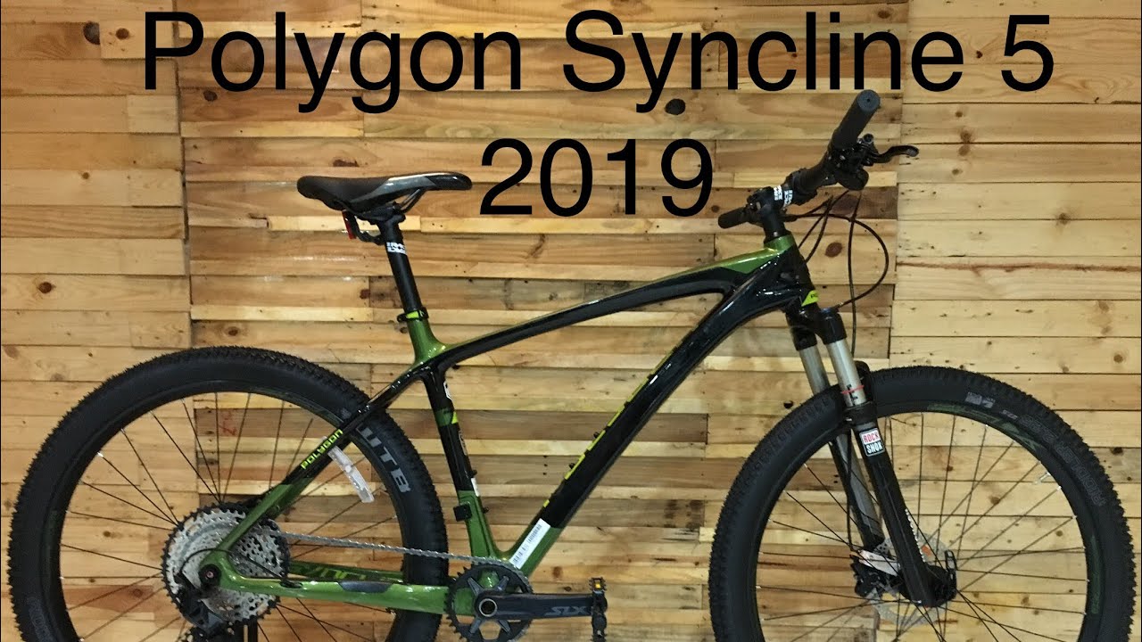 Polygon Syncline 5 2019 - MTB Carbon