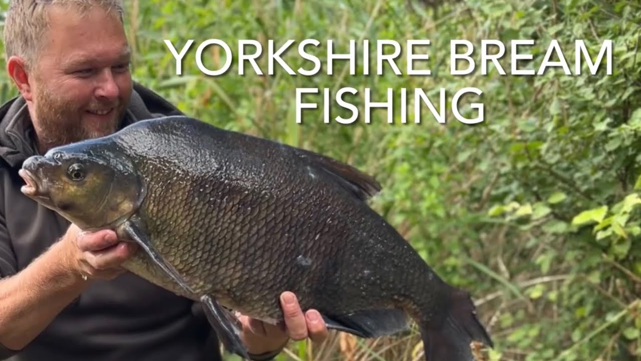 Big Bream fishing. HDAA