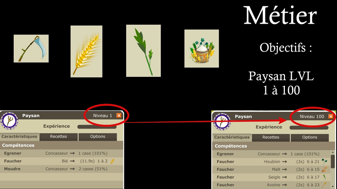 Dofus Retro les métiers #2 :  Paysan de 1 à 100