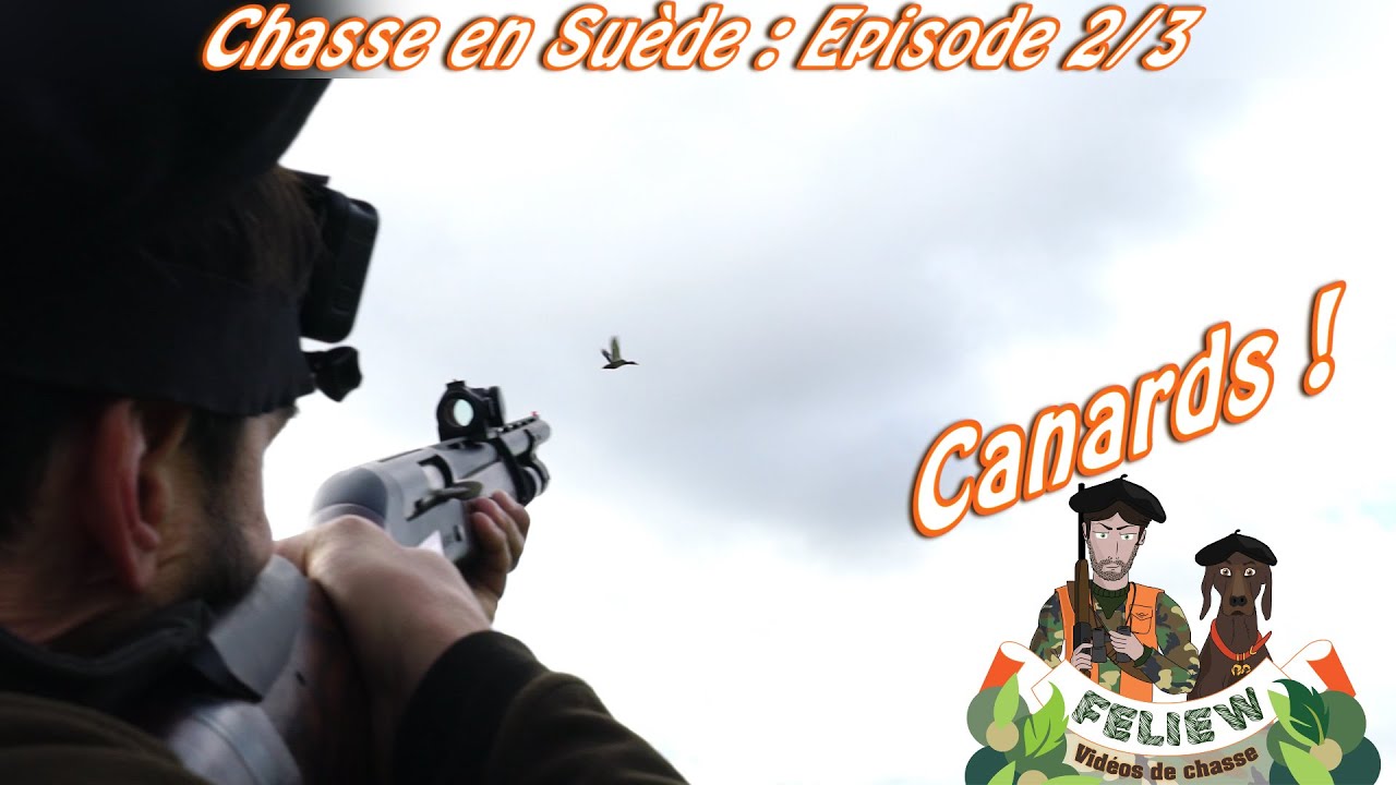 J'irai chasser chez vous : Chasse en Suède épisode 2; chasse aux canards !