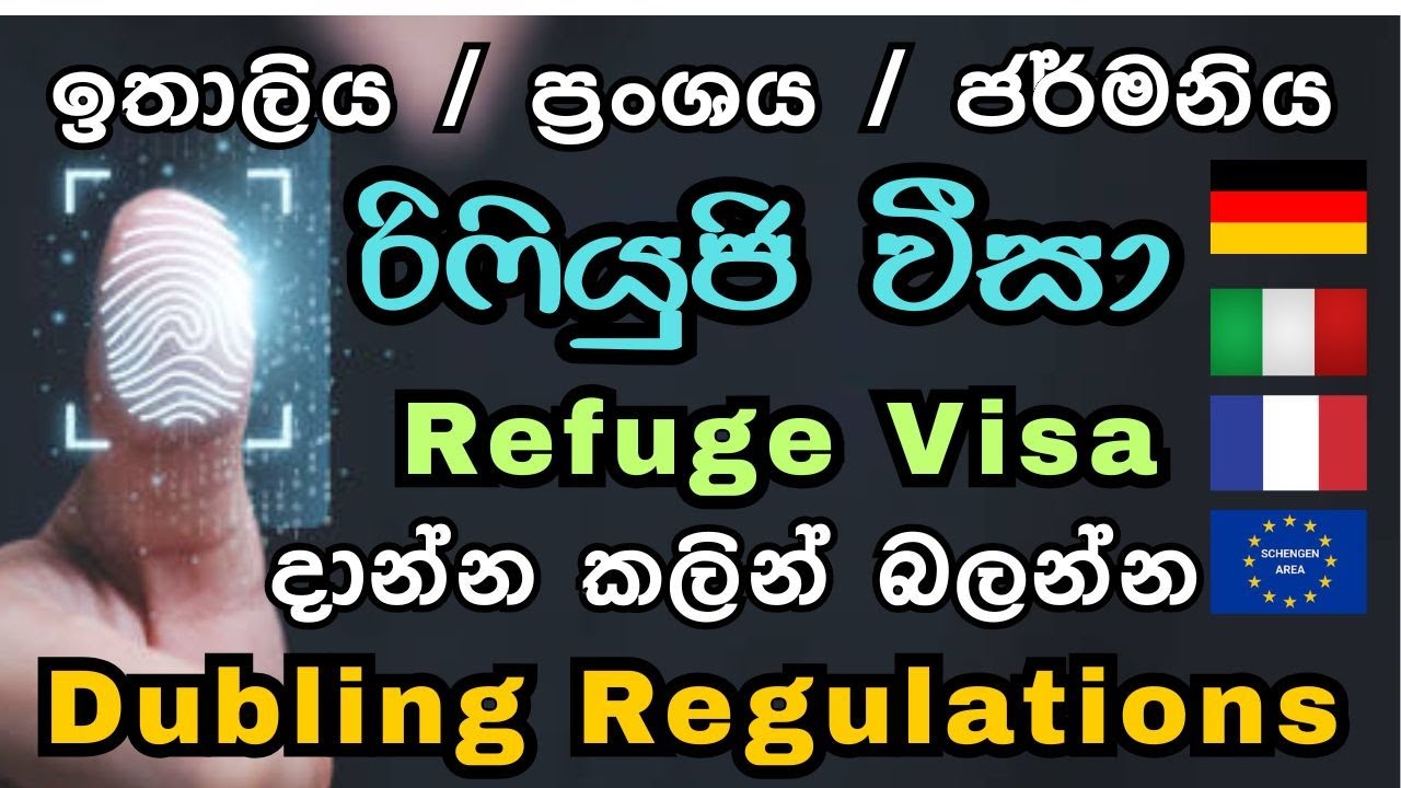 ඩබ්ලින් නීතිය ගැන හැම දේම /Dubling regulations/Refugee visa in europe #dublin #refugevisasinhala