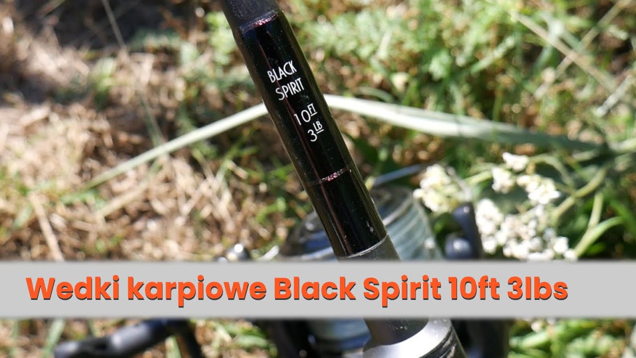 Wedki karpiowe Black Spirit 10ft 3lbs